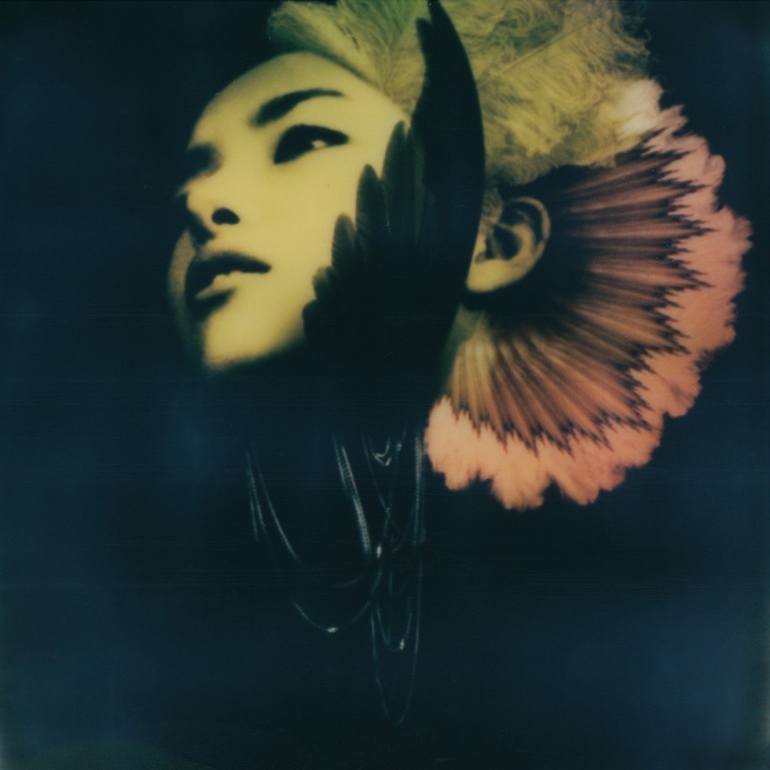 saatchi-art-polaroid-print-andrew-millar