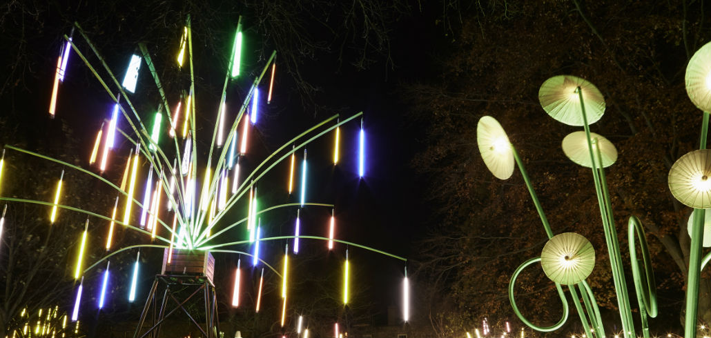 the garden of light shines during London's lumiere festival 2016