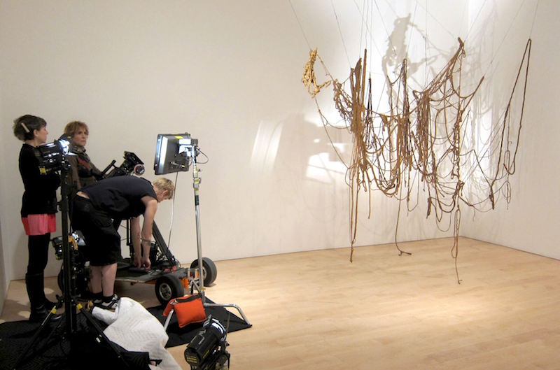 new documentary profiles the life and work on sculptor eva hesse