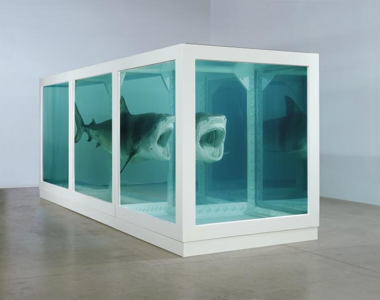 The 4 Most Shocking Damien Hirst Moments | Canvas: A Blog By Saatchi Art