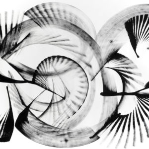 Wikstoemia-villosa-Thomas-Hammer-saatchi-art-black-white-abstract-painting