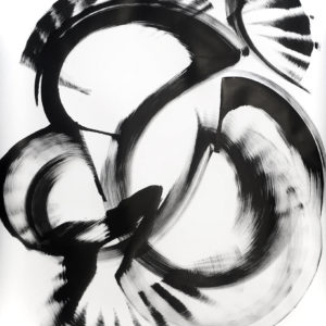 mammillaria-glochidiata-thomas-hammer-ssatchi-art-black-white-abstract-painting