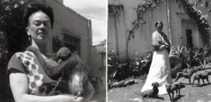 Frida Kahlo: On Animal & Mesoamerican Symbology | Flipboard Frida Kahlo: On Animal & Mesoamerican Symbology | Flipboard